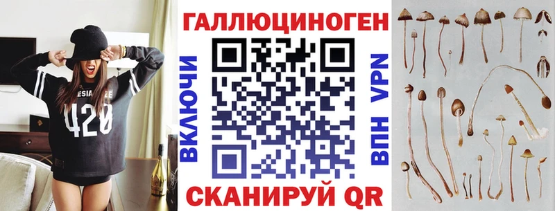 что такое наркотик  Полесск  Псилоцибиновые грибы MAGIC MUSHROOMS 